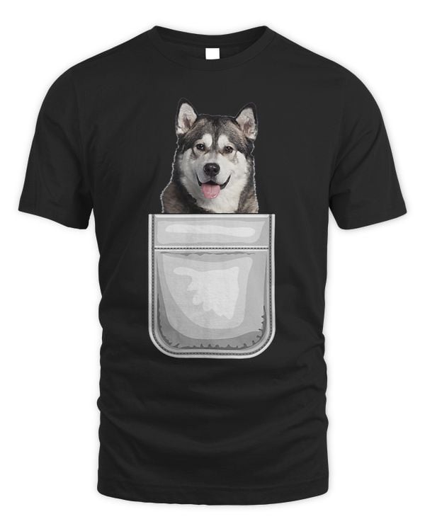 Alaskan Malamute Puppy Dog in Your Pocket
