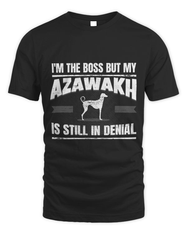 Azawakh Greyhound 6