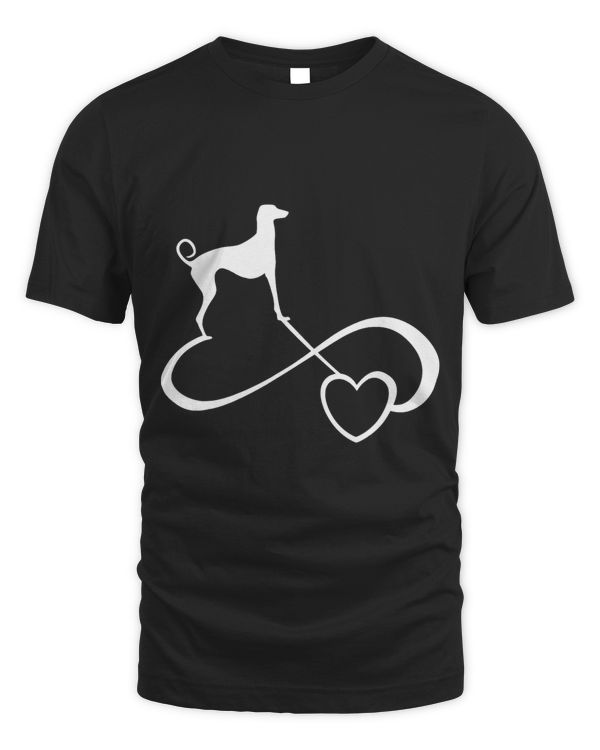Azawakh Greyhound 666