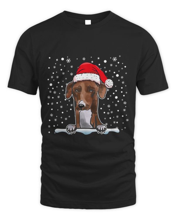 Azawakh Dog Christmas Santa Hat Matching Family