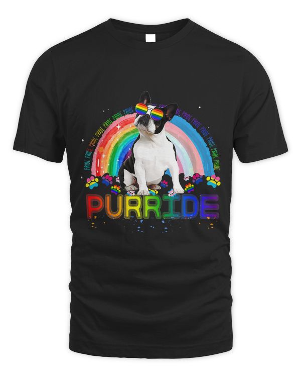 Cute Boston Terrier Gay Pride Shirt Rainbow Sunglasses LGBTQ
