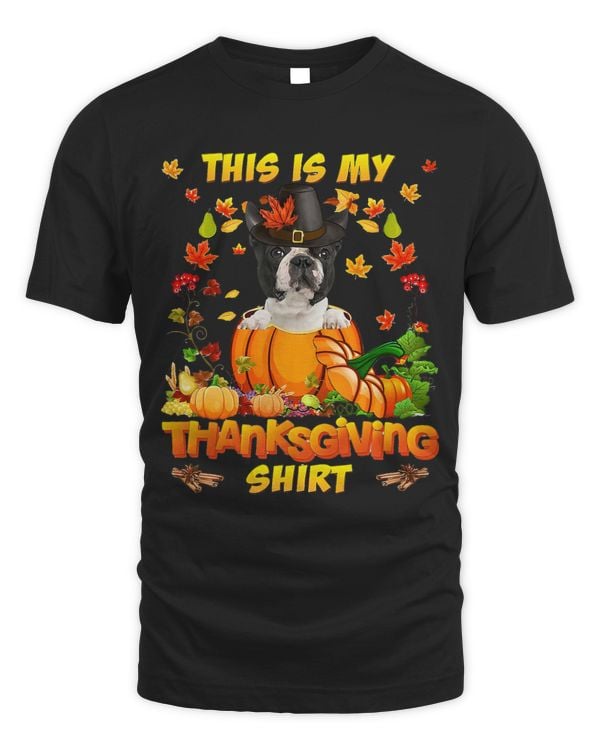 Boston Terrier Dog In Pumpkin This Is My Thanksgiving