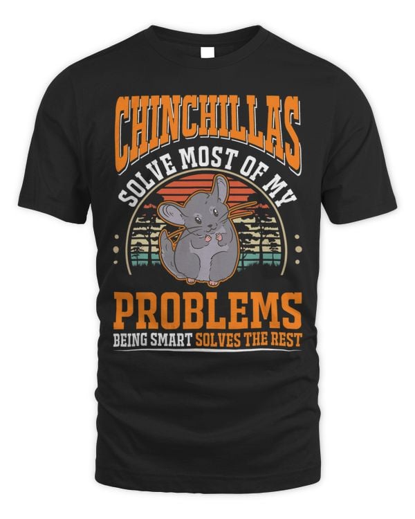 Chinchillas solve most of my problems Chinchilla 2