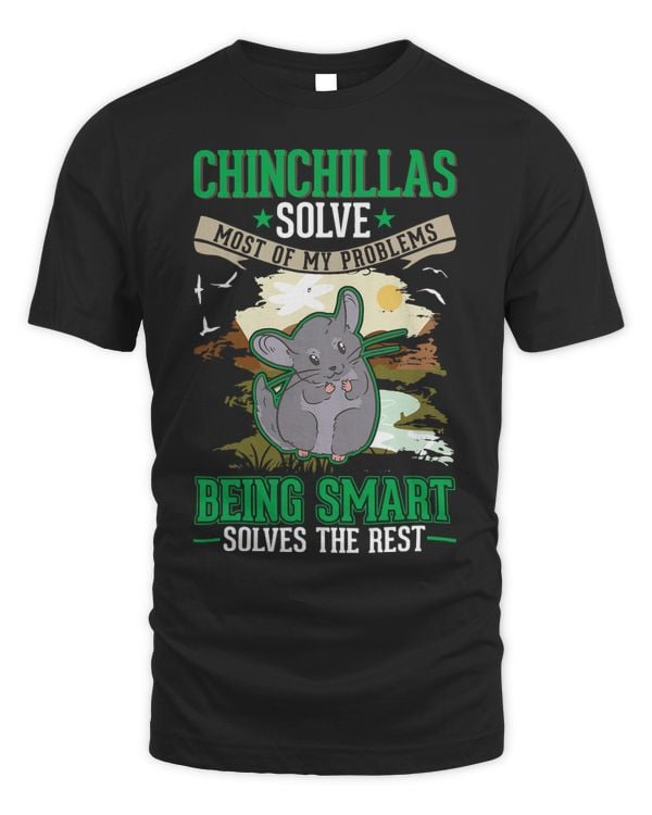 Chinchillas solve most of my problems Chinchilla