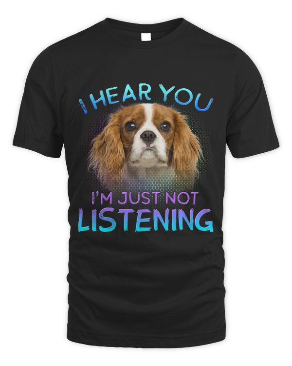 Cavalier King Charles Spaniel I hear you not listening 6