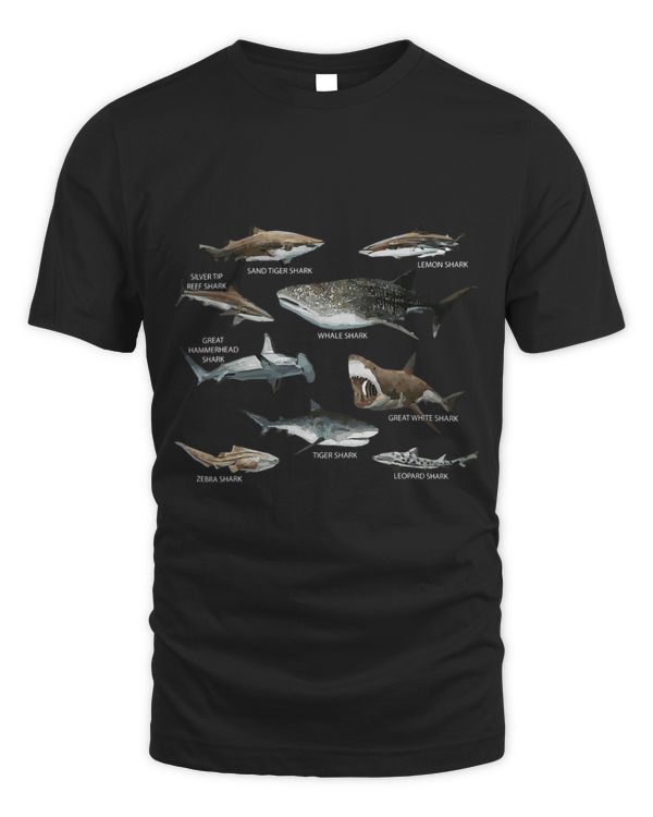 Educational Shark Types Faces Sea Mammals Marine Biologist