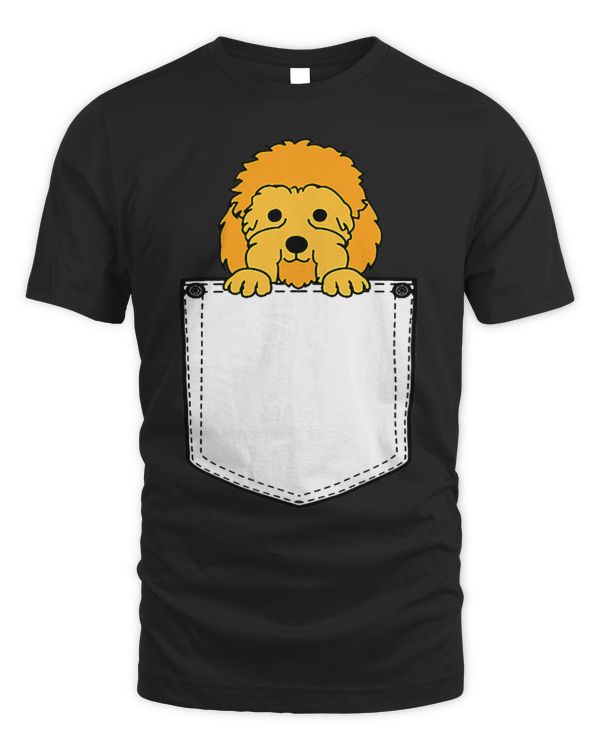 Bernedoodle Dog Bernedoodle In Pocket 3