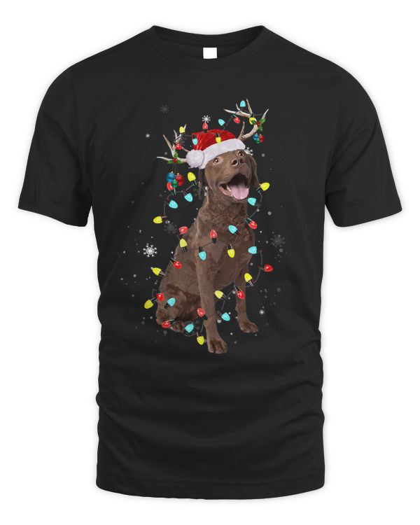 Santa Chesapeake Bay Retriever Reindeer Light Christmas104