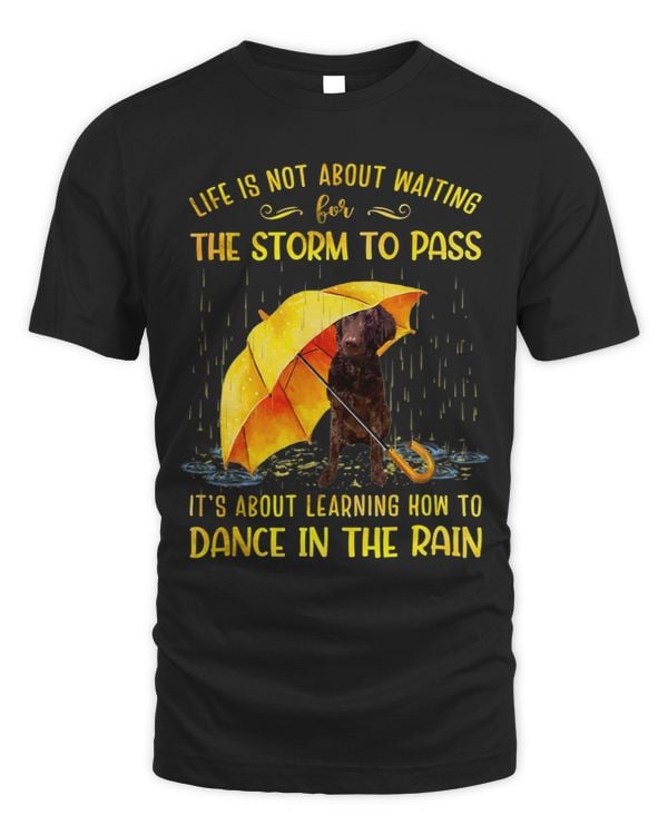 It s About Learning How To Dance In The Rain Labradoodle