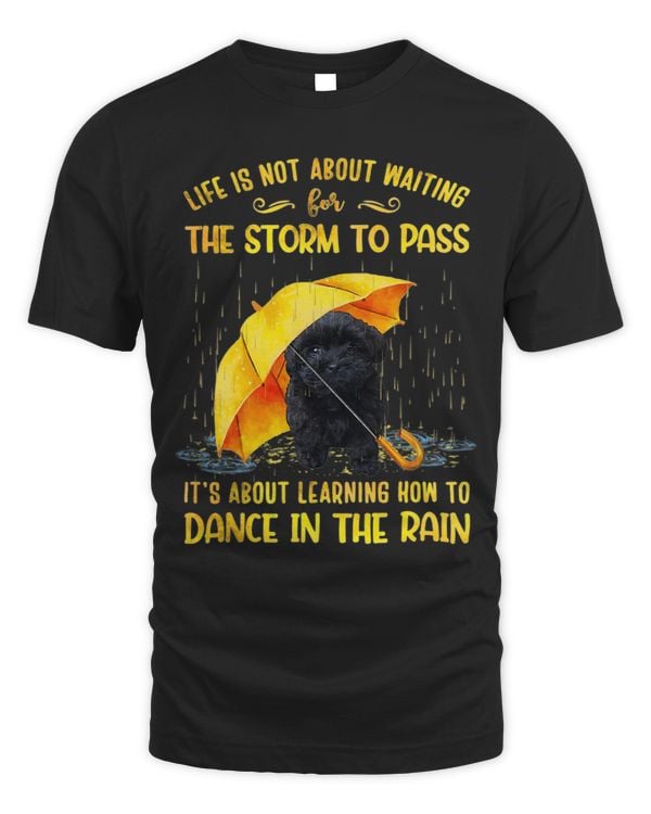 It s About Learning How To Dance In The Rain Shoodle