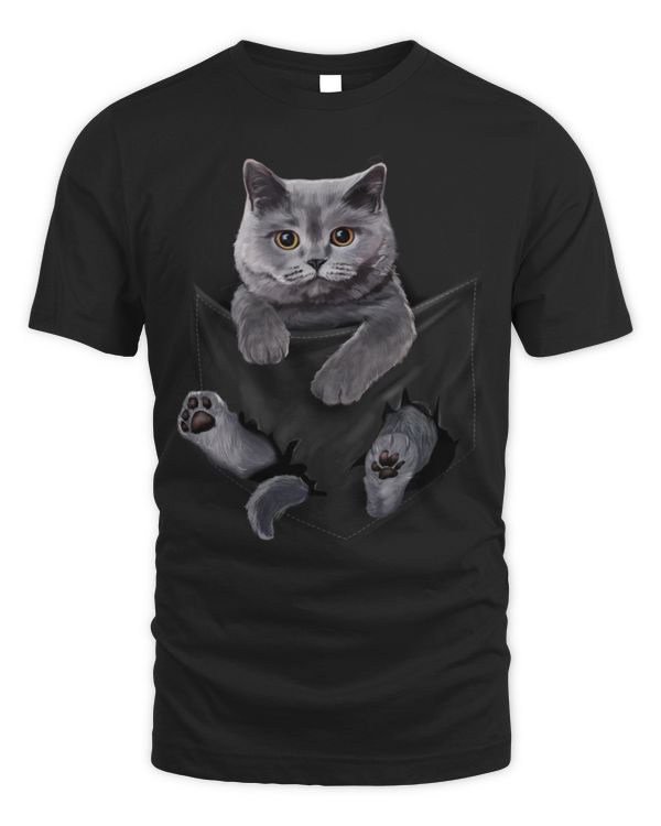 cute british shorthair cat pocket