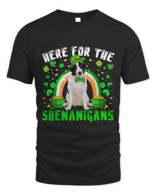 Here For The Shenanigans Patricks Day Landseer Shamrocks