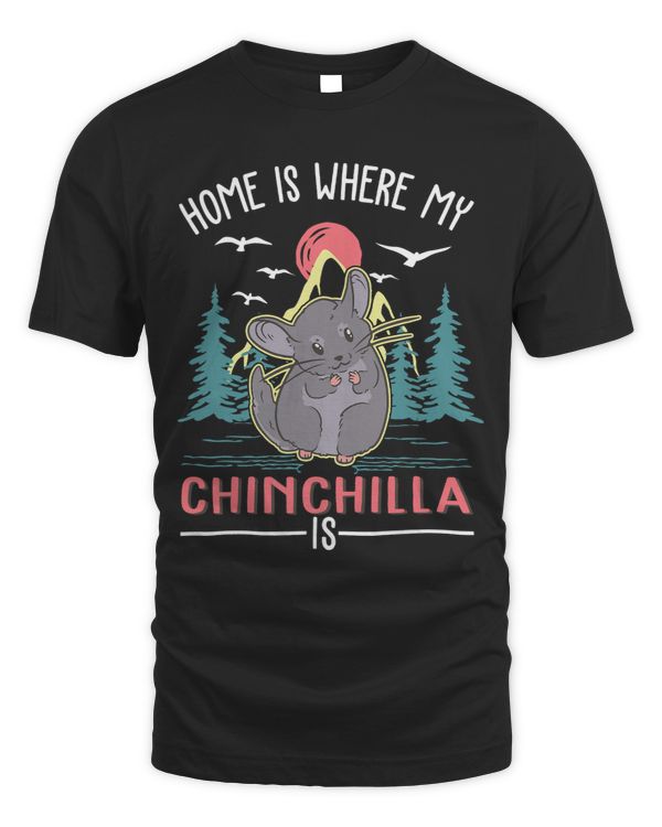 Home is where my Chinchilla is Chinchilla 2