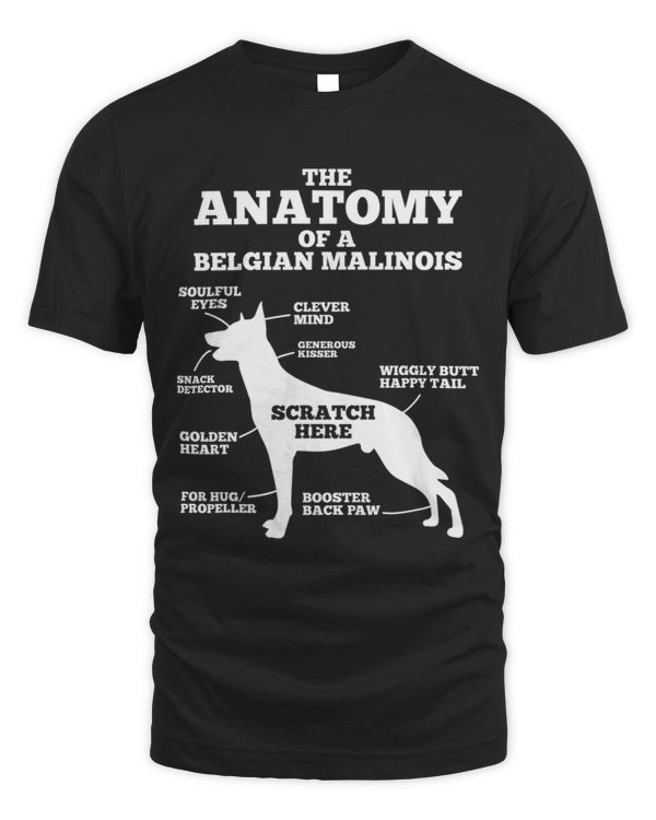 The Anatomy Of A Belgian Malinois Dog lover 238