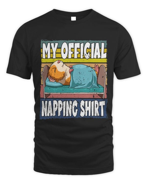 My Official Napping Motive