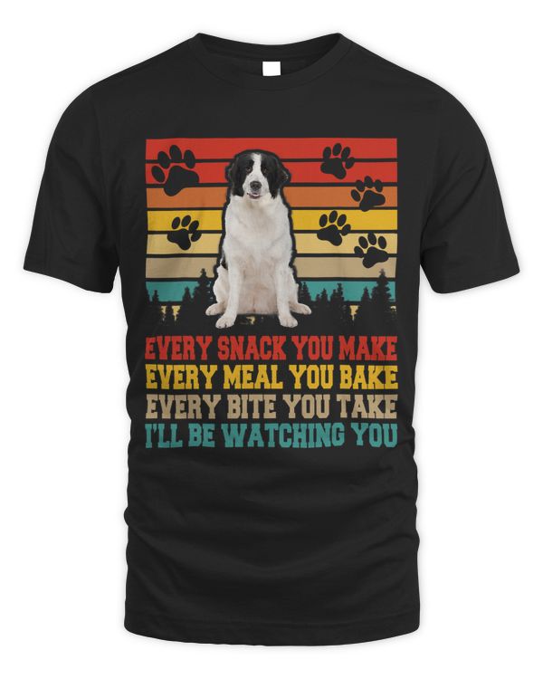 Landseer Dog Funny Activities Matching Dog Lover