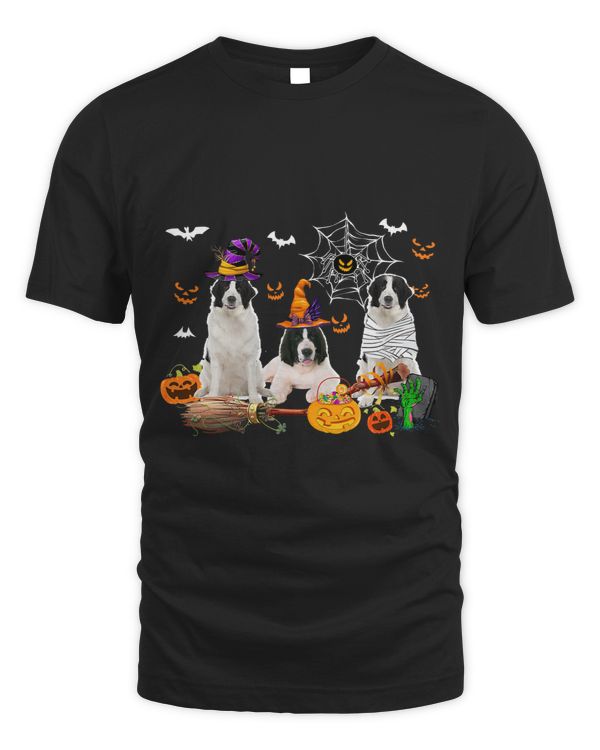 Three Landseer Dogs Witch Halloween Mummy Scary Pumpkins