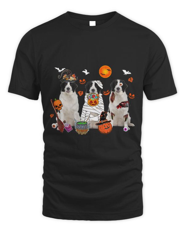 Three Landseer Dogs Witch Scary Mummy Halloween Zombie Lover
