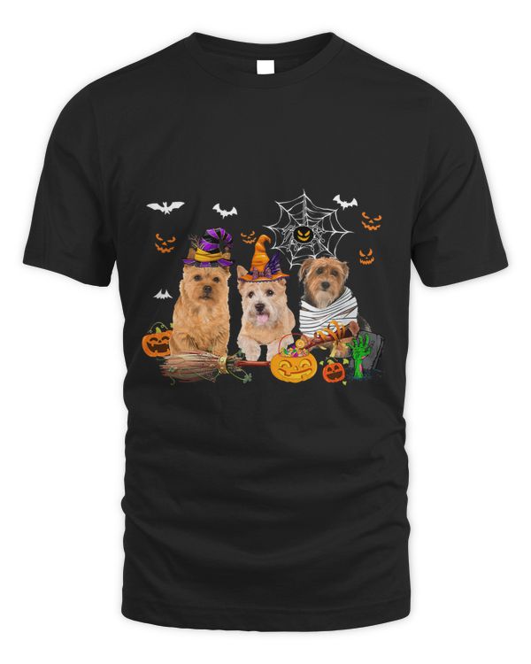 Three Norwich Terrier Dogs Mummy Witch Scary Pumpkins Kids