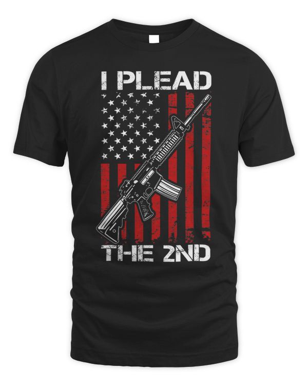 I Plead The 2nd Amendment Pro Gun Rights AR15 USA Flag