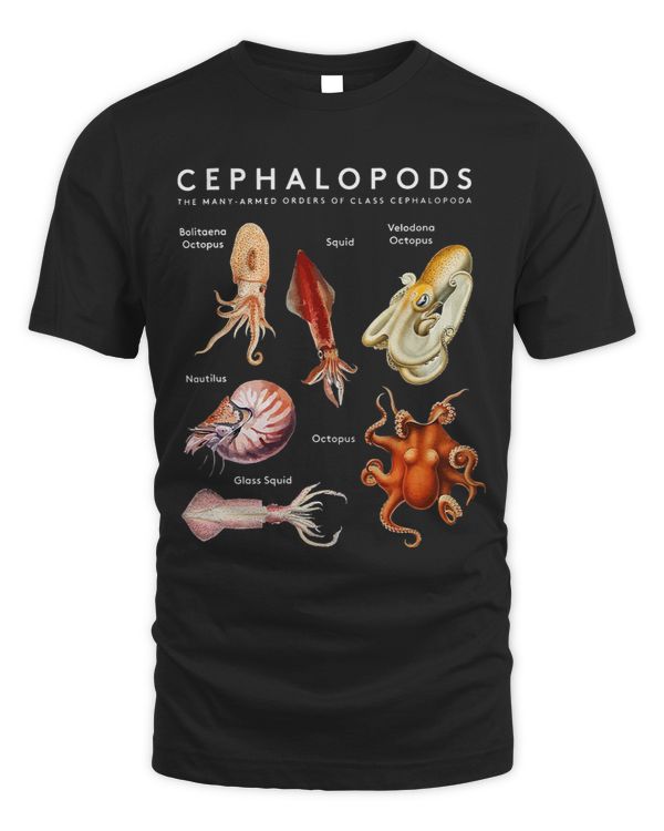 Kinds Of Octupus Cephalopod Octopus Sea Creatures Squid