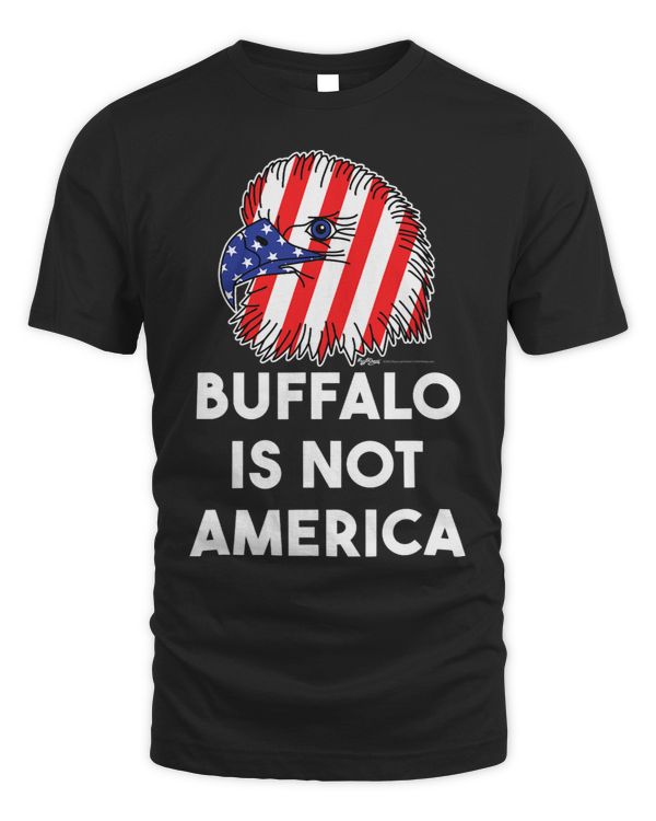 Buffalo Is Not America Vote Republican American Flag