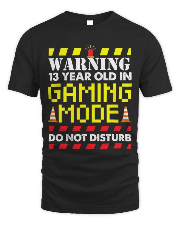 13 Year Old Boy 13th Birthday Party Gamers
