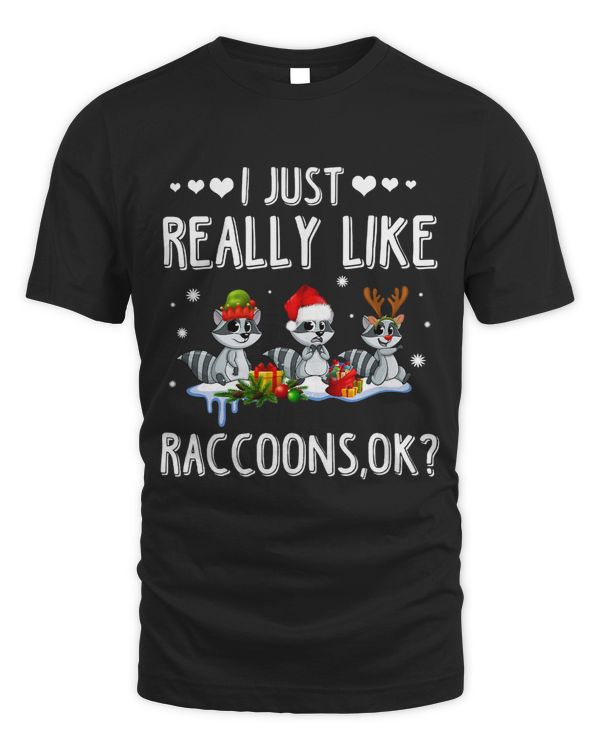 I Just Really Like Raccoons Christmas 64