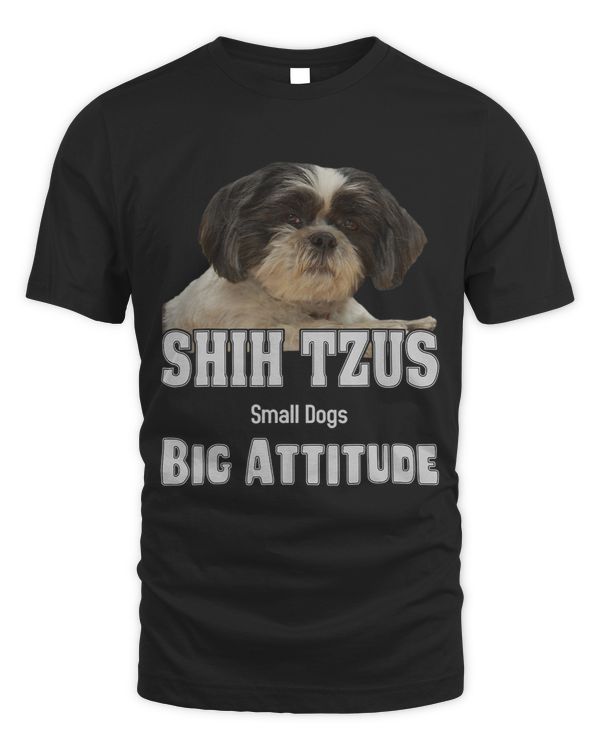 Shih Tzus Small Dogs Big Attitude Shih Tzu