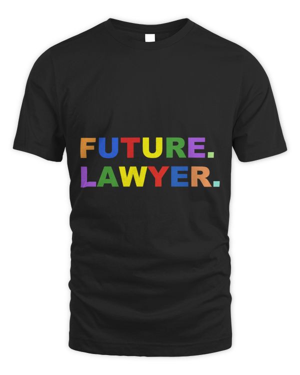 Future Lawyer Law School