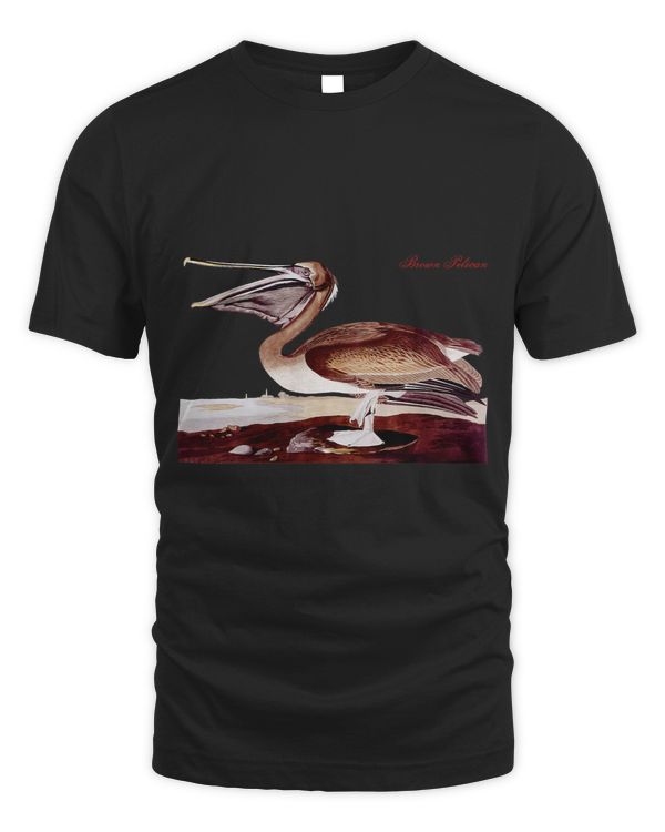 Audubon Brown Pelican North American Birds Education Nature