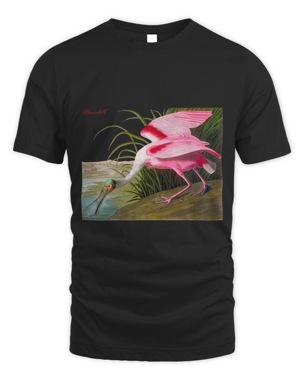 Audubon Spoonbill North American Birds Education Nature