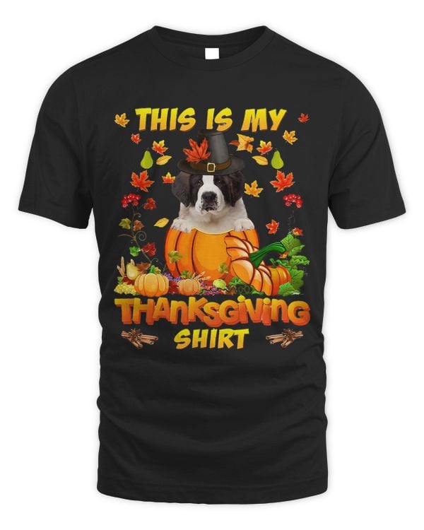 Saint Bernard Dog In Pumpkin This Is My Thanksgiving