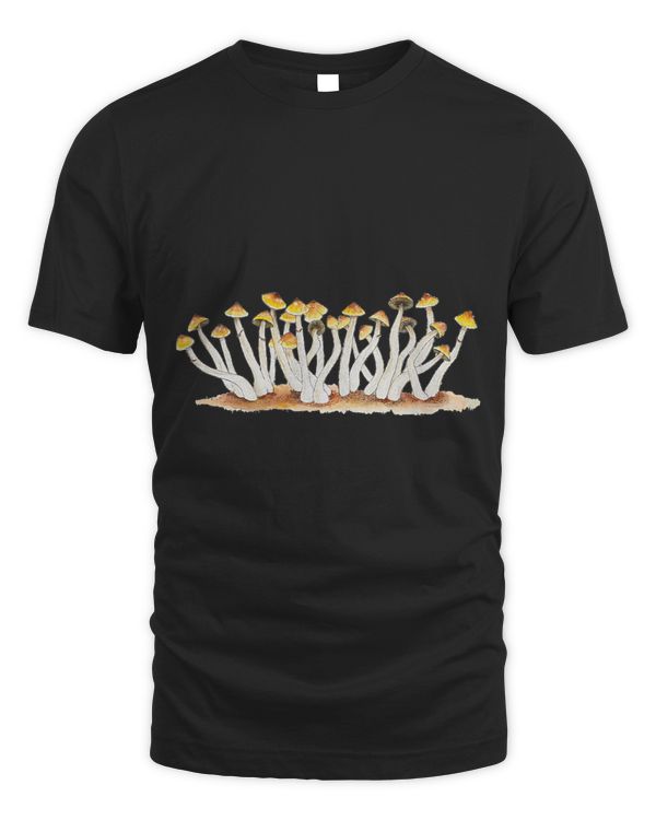 Psilocybe Cubensis Magic Mushrooms Mycology Shrooms Fungi