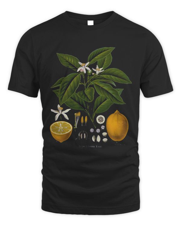 Lemon Plant botanical Fruit Tree For Gardeners gift