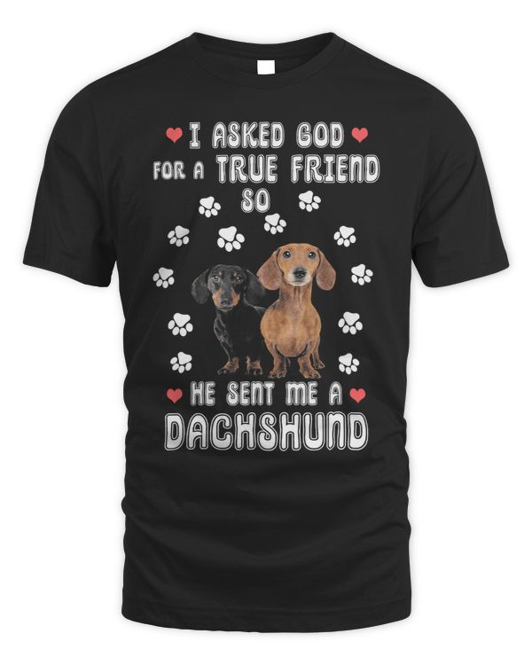 Wiener Weenie I Ask God A True Friend He Sent Me A Dachshund 159 Dachshund Doxie