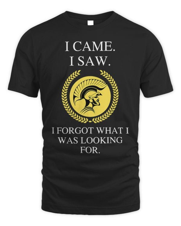 I Came I Saw I Forgot What I Was Looking For a Funny