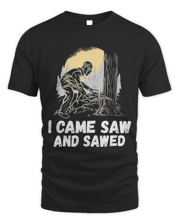 I came saw and sawed Handyman Woodwork Craftsman