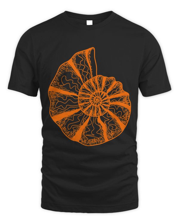 Ammonite Fossils Geologist Paleontologist Study Paleontology