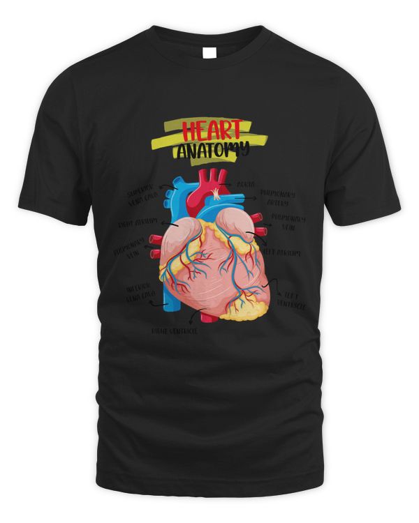 Anatomy Human Heart Cardiologists Doctor Anatomical Medical