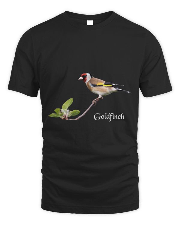 Goldfinch European Goldfinch Bird Ornithology