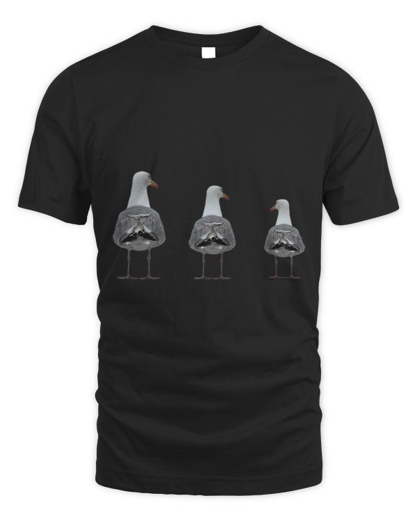 Funny Funny Seagulls