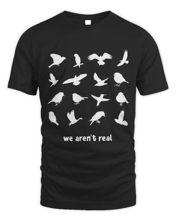 We Arent Real 3