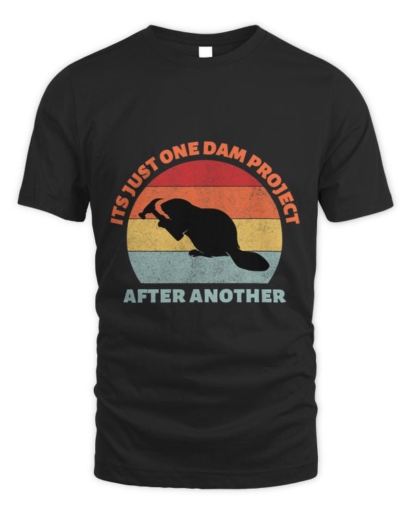Its Just One Dam Project After Another 1
