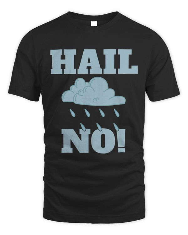 Hail no Weather Chaser Meteorology