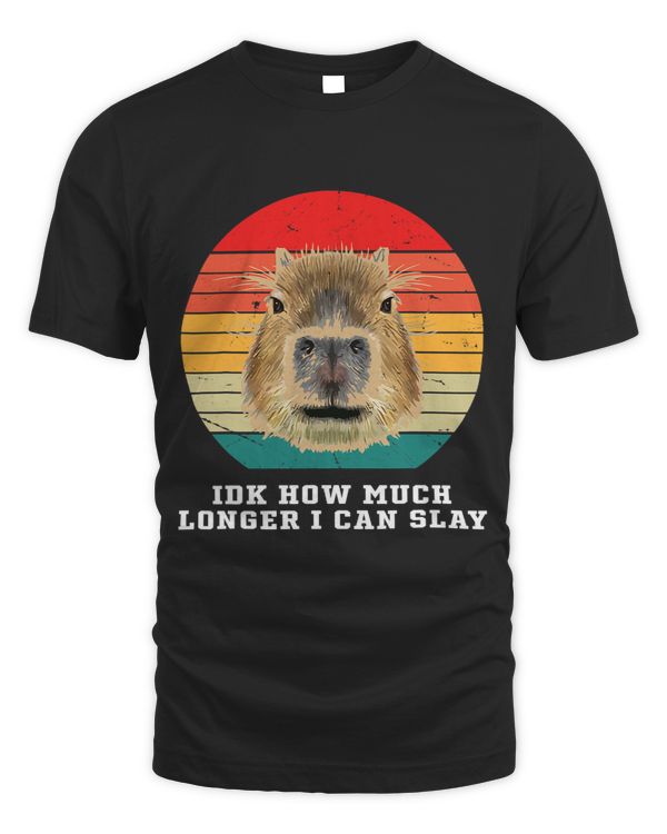 Funny Idk How Much Longer I Can Slay Capybara Lover Quote