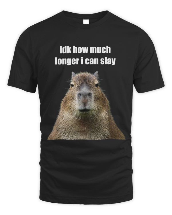 Funny Meme Idk How Much Longer I Can Slay Sarcastic Capybara