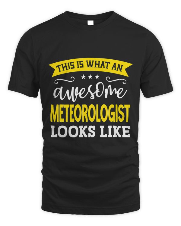 Meteorologist Job Title Employee Funny Worker Meteorologist