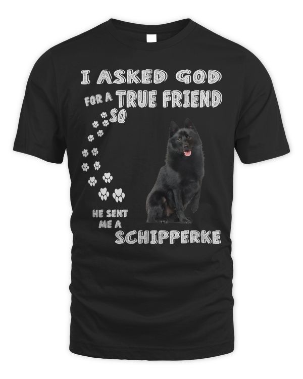 Men's Standard T-Shirt