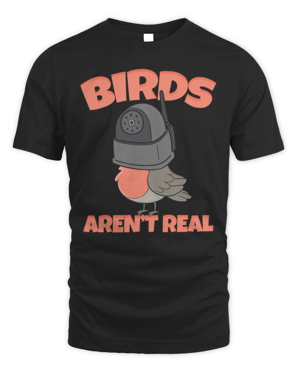 Birds Are Not Real Drone Conspiracy Theorists Bird Watching Pullover Hoodie